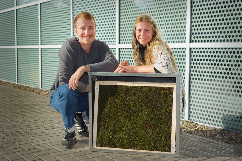 Das Bild zeigt Lucas Berns und Maren Huhle machen mit einem Moos-Paneel.